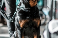 IMG_6914