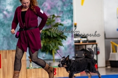 IMG_8181